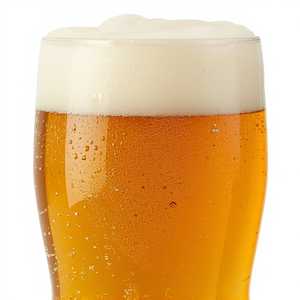 fremont lush ipa