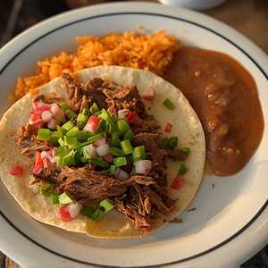 Machaca or Chicken with 1 Flour Tortilla
