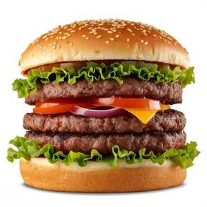 Double Hamburger