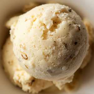 Ray's Vanilla Bean Ice Cream