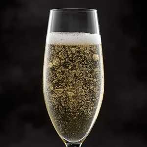 Cava Brut Segura Viudas, Catalonia