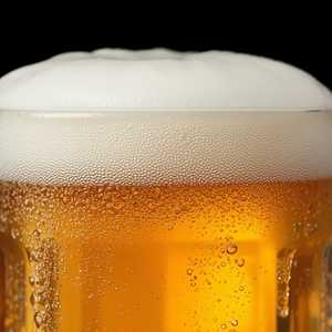 Domestic Beer
