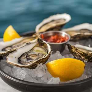 EAST COAST OYSTERS