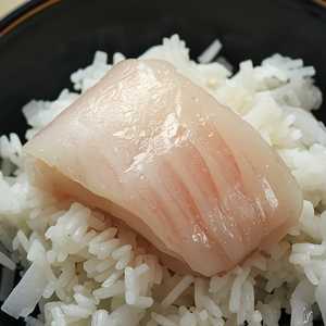 Yellowtail