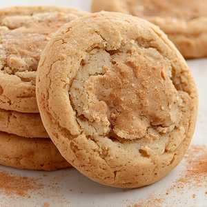 Snickerdoodle Cookie