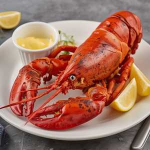 Broiled Live Maine Lobster