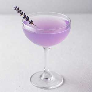 LAVENDER DAYDREAM