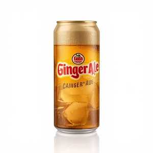 Ginger Ale (Cans)