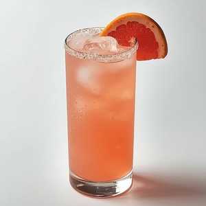 Haley’s Paloma