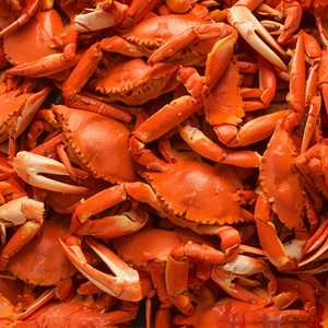 Bairdi Crab Cluster