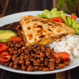 Quesadilla Dinner D Queso