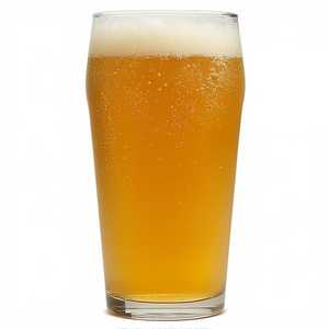Fiddlehead IPA
