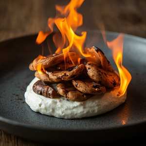 Wild Mushroom G F L