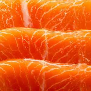 Salmon