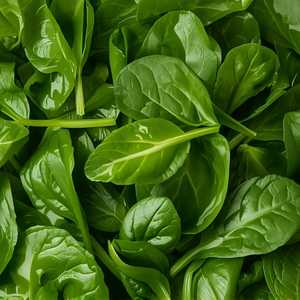 Sautéed spinach