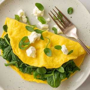 HEALTHY OMELET
