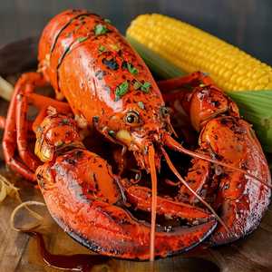 Grilled Hard-Shell Lobster (3 lb)