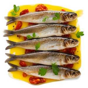 Cantabrian Anchovies