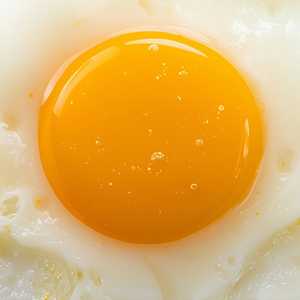 Egg