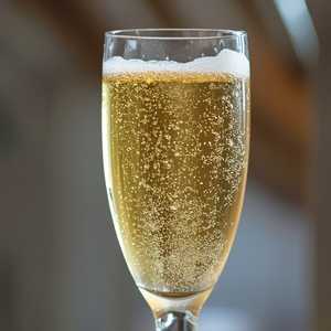 Bisson 'Vino Frizzante'