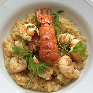 Lobster Risotto
