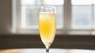 Mimosa