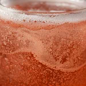 Lambrusco di Sorbara • Paltrinieri, 'Radice', Emilia Romagna, Italy