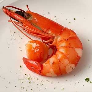Prawn