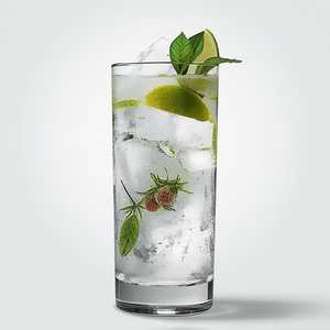 Tanquray Gin