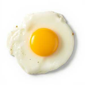 Egg