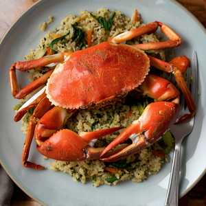 Whole Dungeness Crab