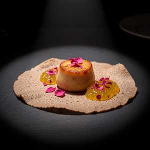 Seared Hudson Valley Foie Gras