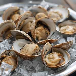 Littleneck Clams