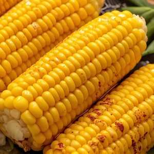 Boiled Corn - on the side