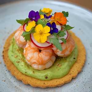 ROCK SHRIMP TOSTADA