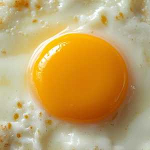 Fried Egg