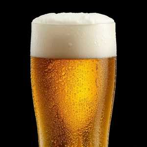 Moody Tongue Paradise Pilsner