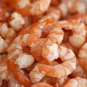 Shrimp