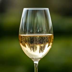 Chenin Blanc, Pascal Biotteau, Anjou, Loire Valley