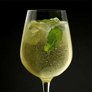 Gazela Vino Verde, Portugal