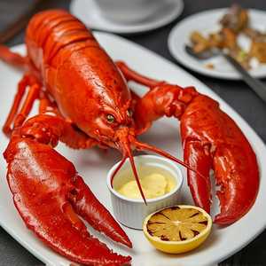 Whole Maine Lobster (2 lb.)