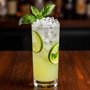 Basil Elderfower Mojito