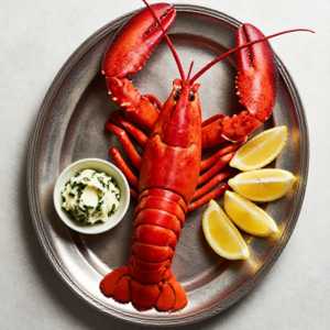 Homard du Maine