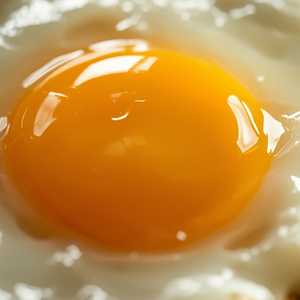 1 Egg