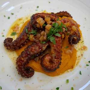 Pulpo Negro