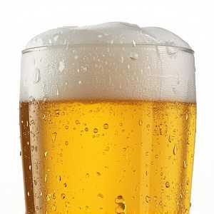 Bud / Bud Light