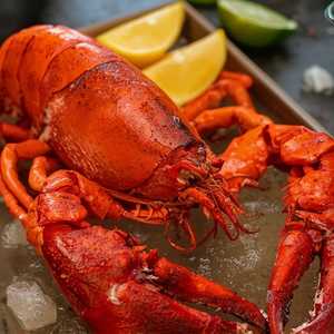 Lobster