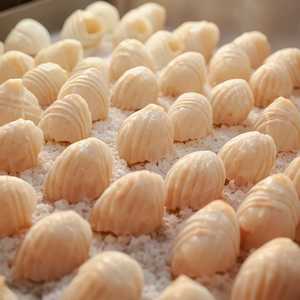 Scallops