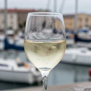 Pinot Grigio