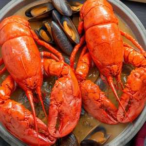 2 Cooked Lobsters Special